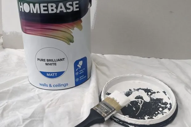 Homebase white paint