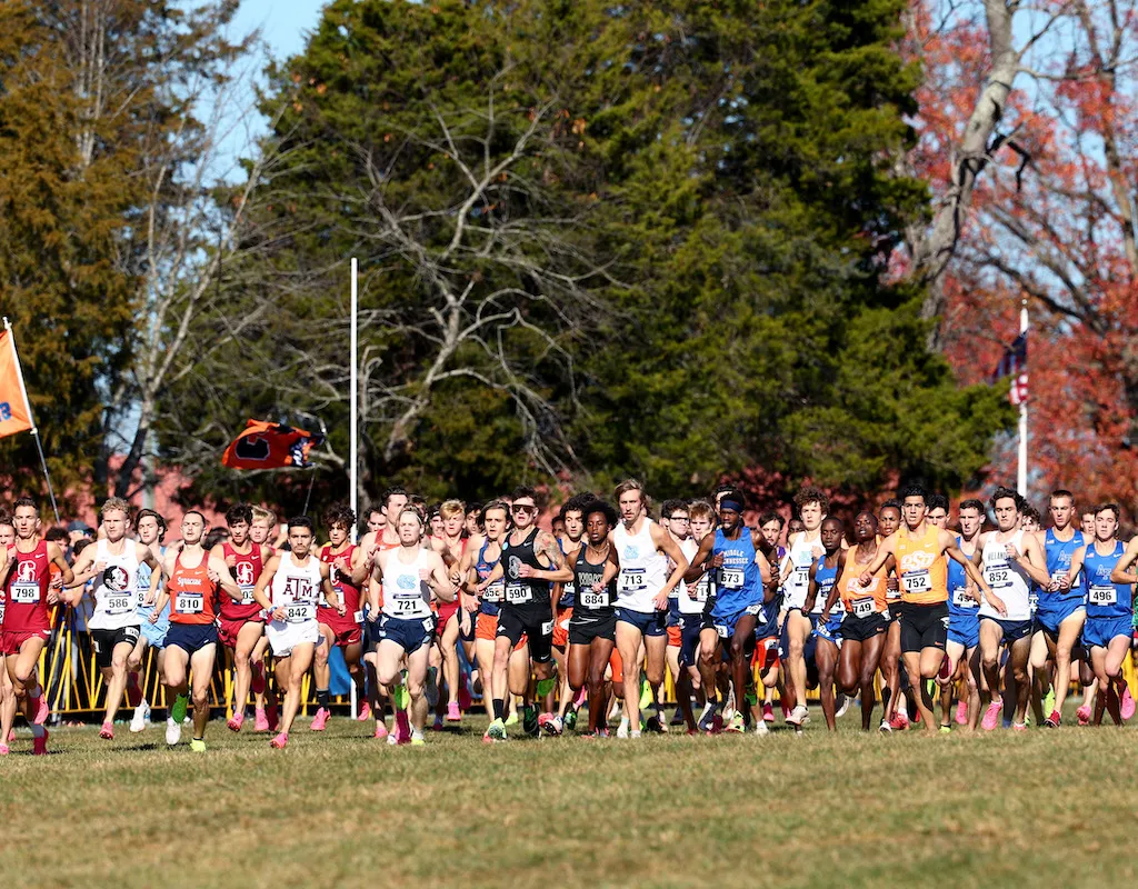 Runners compete during the Division I Men's and Women's Cross Country Championship held at Panorama Farms on November 18, 2023 in Earlysville, Virginia.