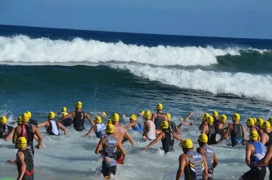 Swimmers entering the water at Xterra Worlds 2014
