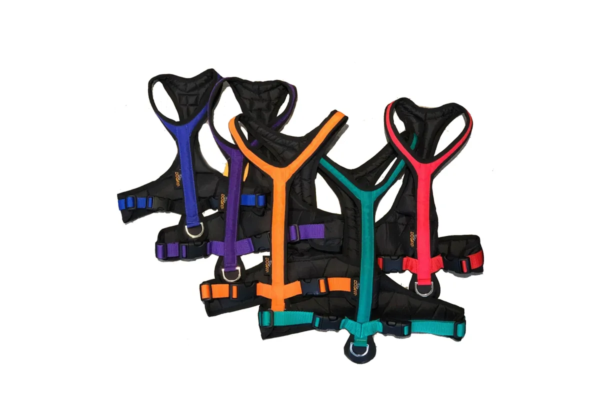 dogfit canicross harness