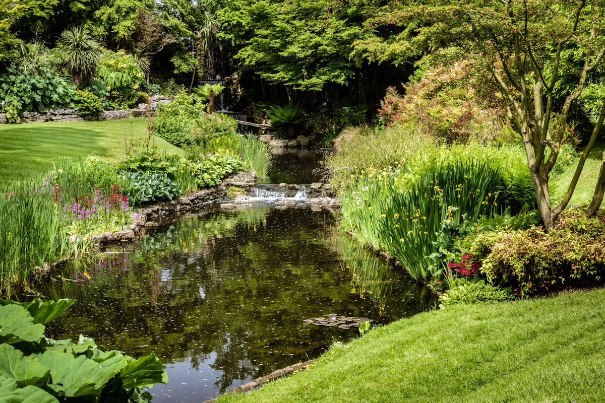 Pond in city garden