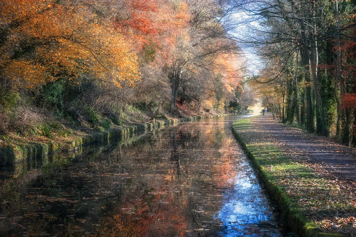 The Kennet and Avon Canal in autumn with red and yellow leaves dropping on to the water.