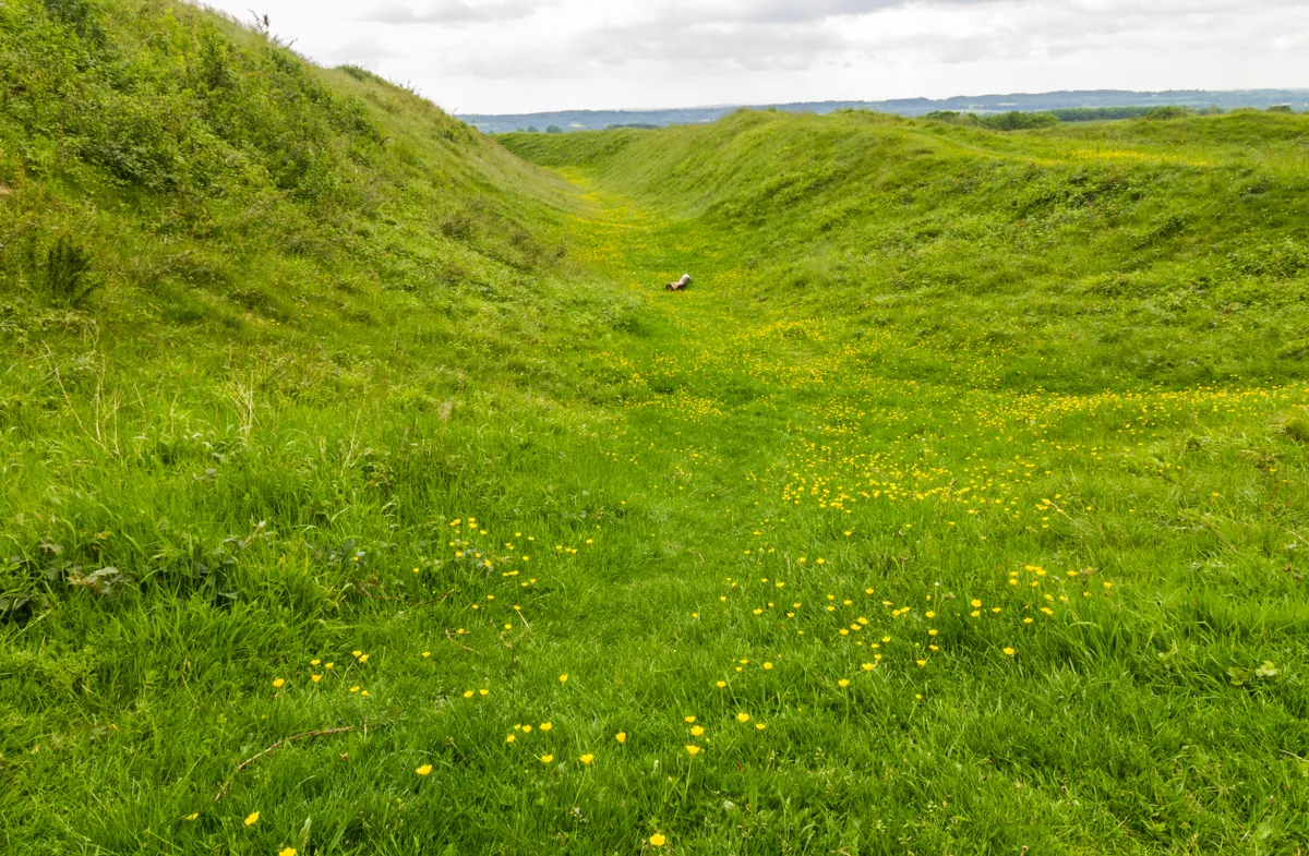itch of Iron age hill fort Badbury Rings. Wimborne, Dorset/Credit: Getty Images