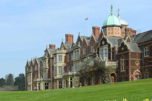 Sandringham estate with daffodils in the foreground and blue skies in background