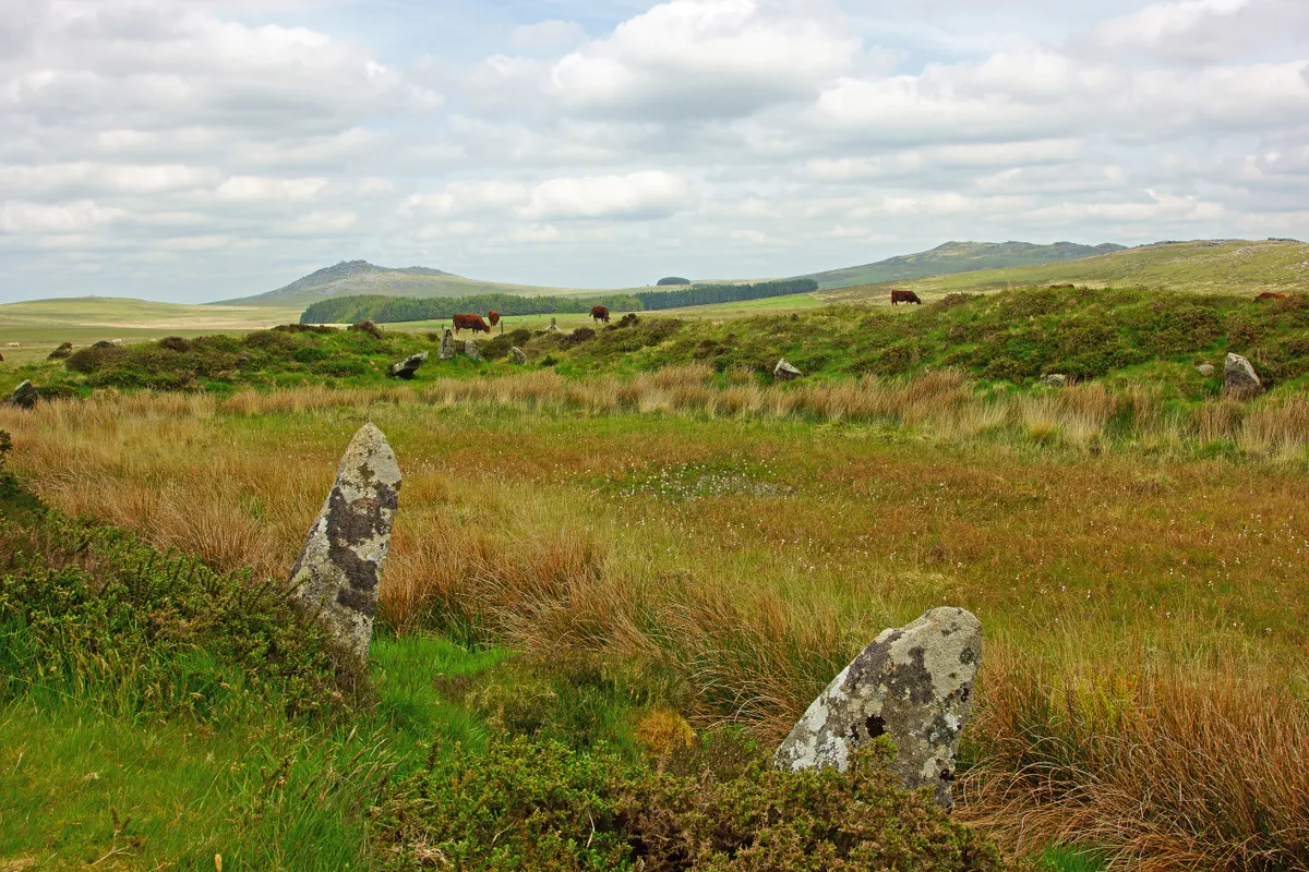 Moorland and rocks