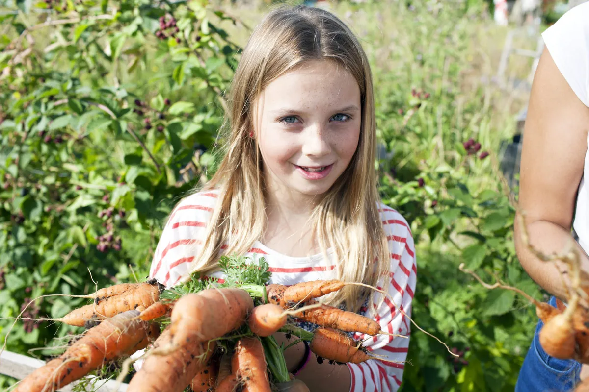 Girl holding a bunch of carrots