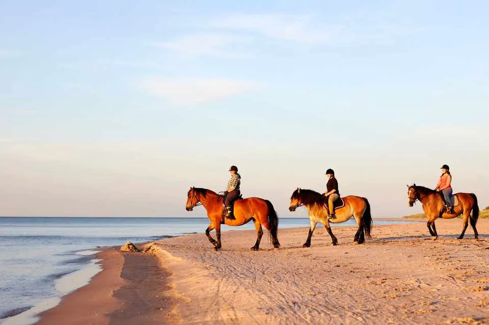 Horse riding on beach