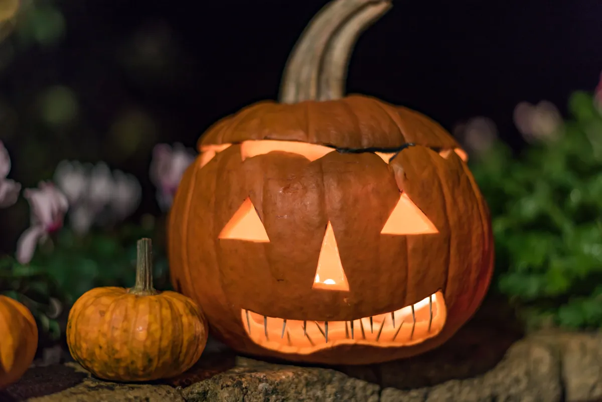 Halloween pumpkin lit/Credit: Getty Images