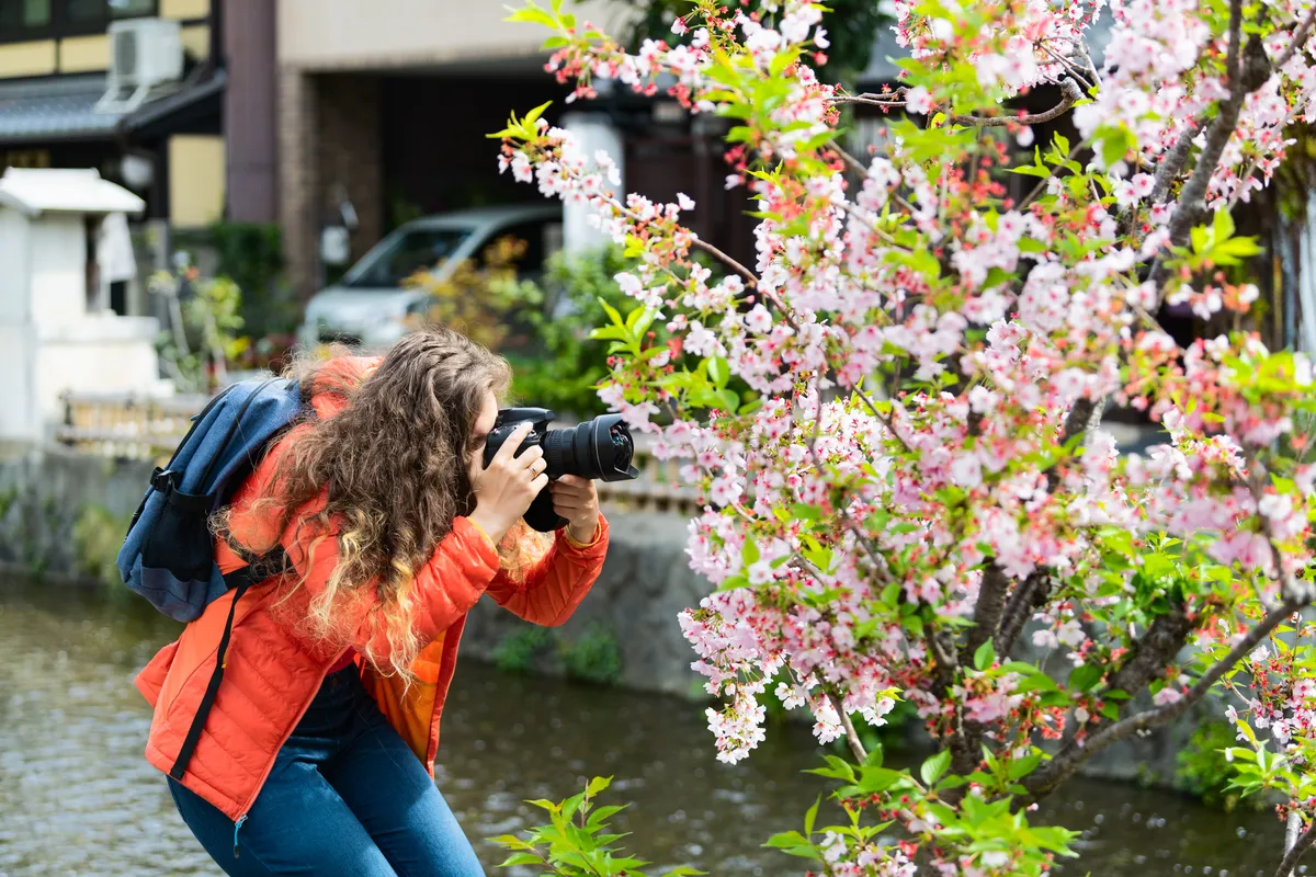 Woman taking a photo of blossom
