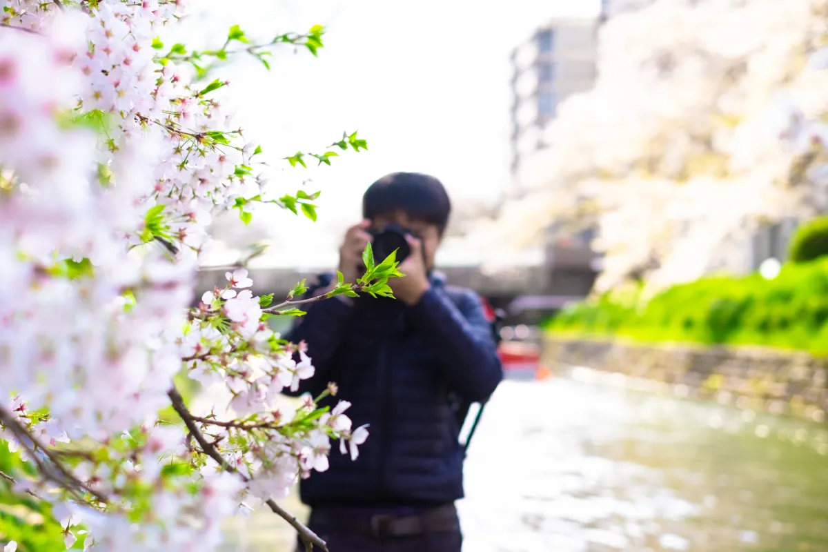 Man taking a photo of blossom