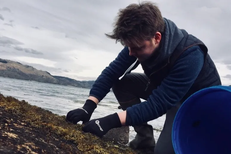 Arduaine Seaweed, Scotland