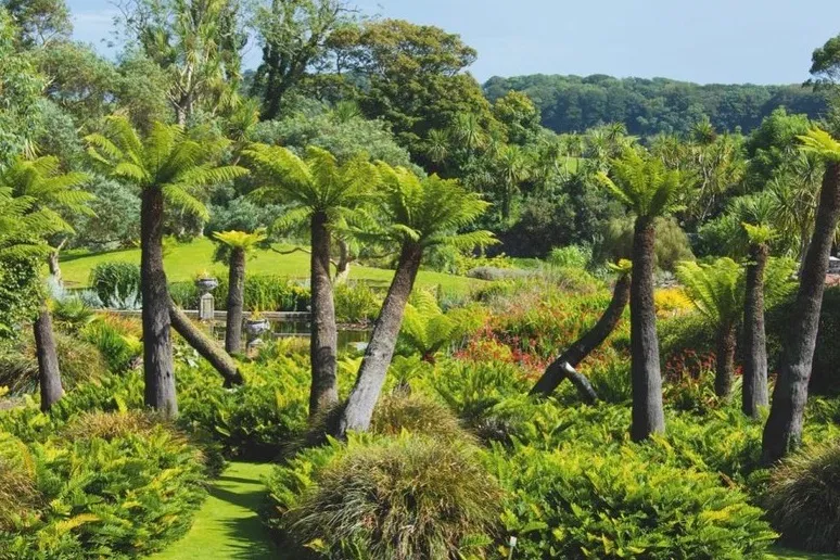 Logan botanic gardens