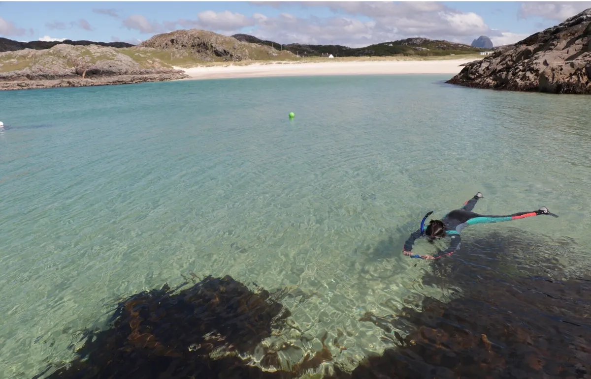 Person snorkelling on beach