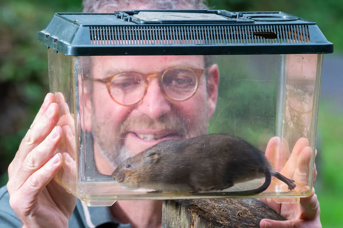 Alex-Raeder-and-water-vole3C2A9National-Trust-Images-Steve-Haywood-28129-544d50f