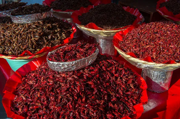 MEXICO - 2018/04/14: Close-up of fried grasshoppers for sale at the Benito Juarez Market in Oaxaca City, Mexico. (Photo by Wolfgang Kaehler/LightRocket via Getty Images)