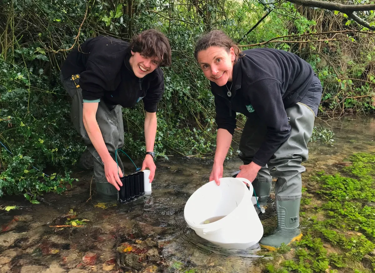 Bristol Zoo's Jacob Ball and Jen Nightingale search for crayfish