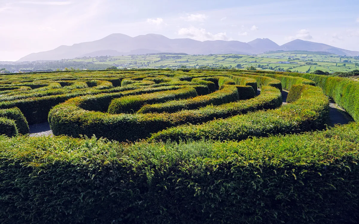 Castlewellan Maze