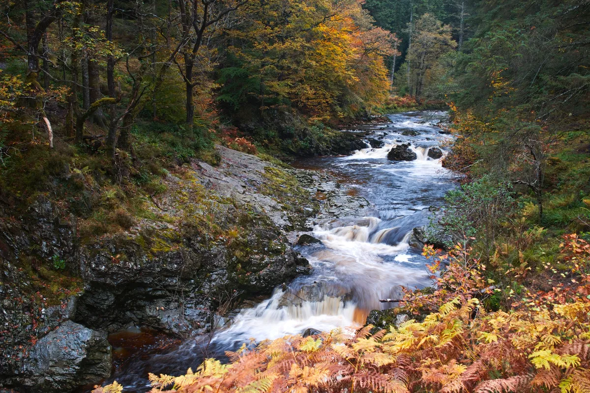 Coed y Brenin waterfalls in autumn