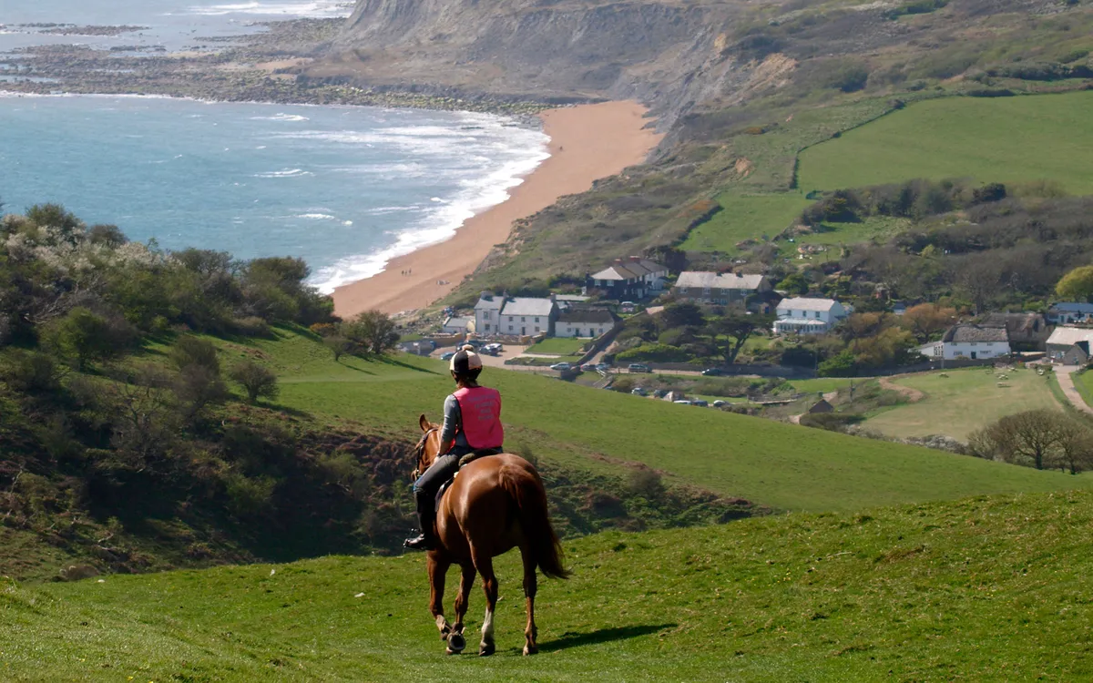 Dorset-horse-1051301