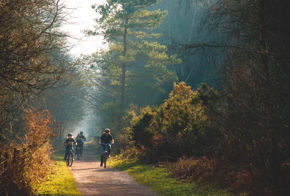 Forest of Dean cycling, Getty