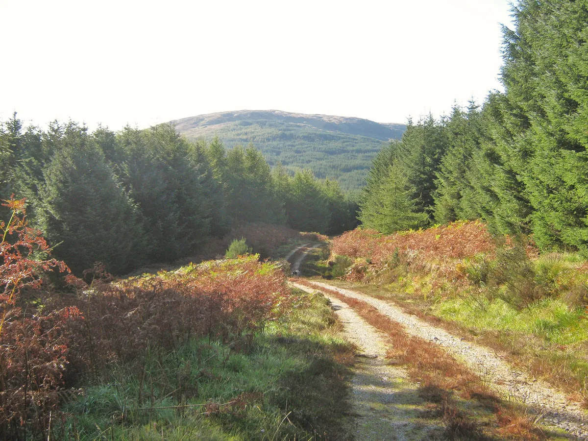 Galloway-forest-park-scotland-geograph-2284615-by-Ann-Cook-87a4f5a