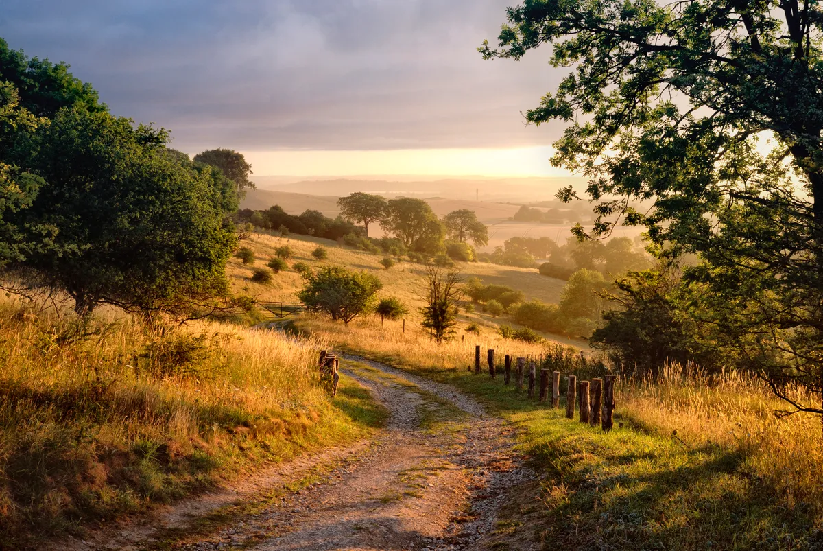 Countrylane in chiltern hills at dawn, Hertfordshire/Buckinghamshire border, England, UK.