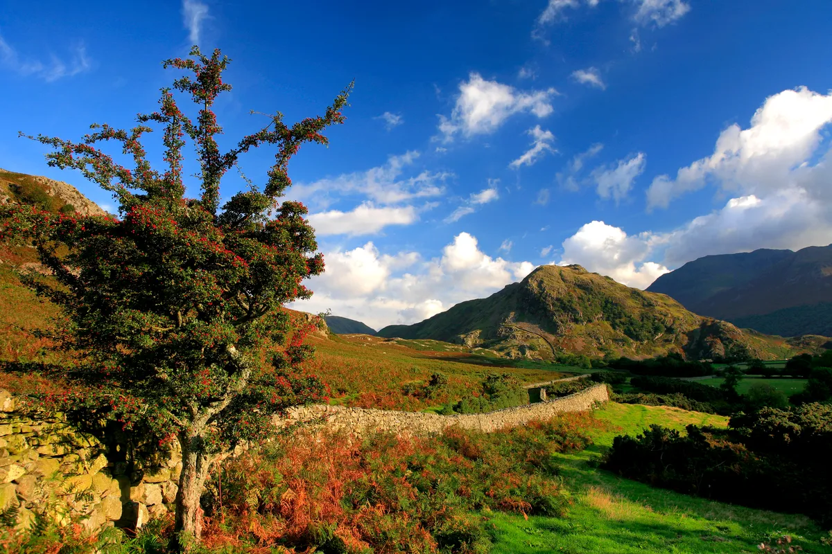 Blue skies over Rannerdale Knotts and the surrounding fells at Crummock Water in the Lake District.