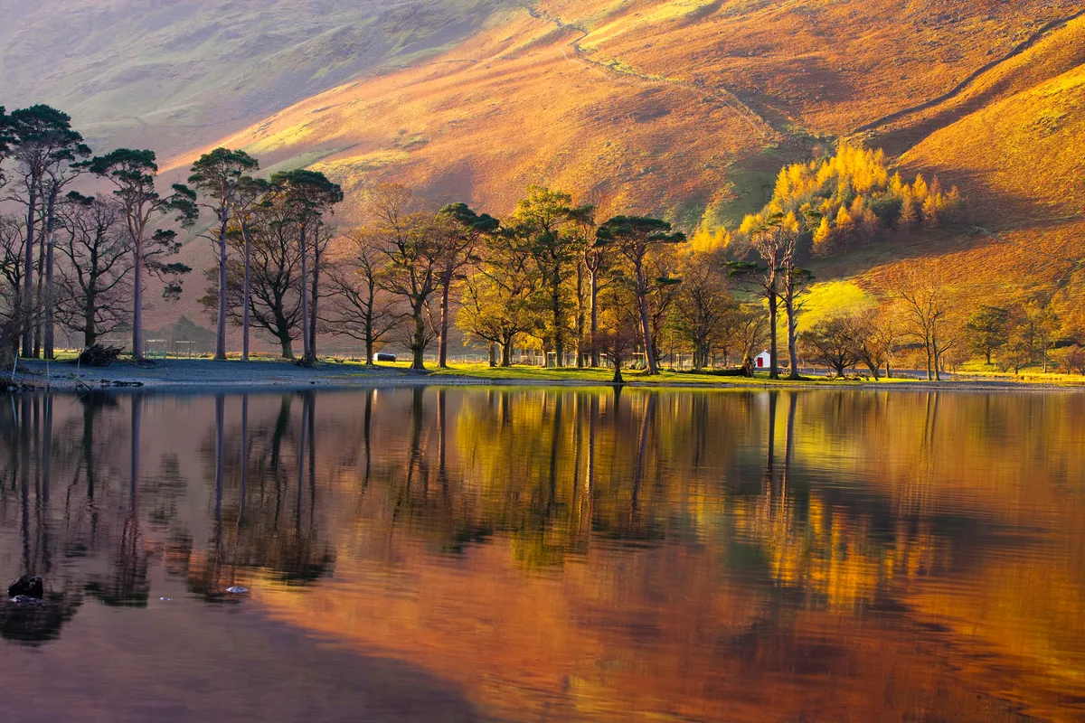 Autumn trees reflecting in Buttermere