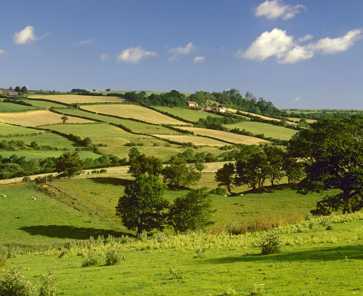 Five big stories affecting rural Britain right now | Countryfile.com