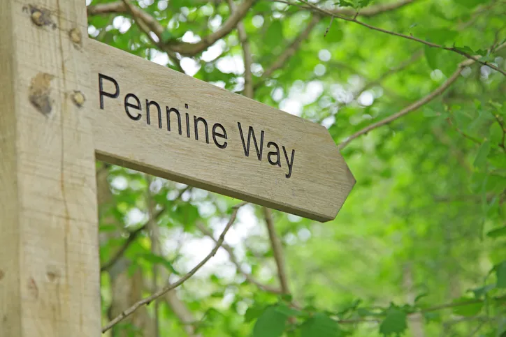 A new wooden post directing travellers to the Pennine Way,Teesdale.