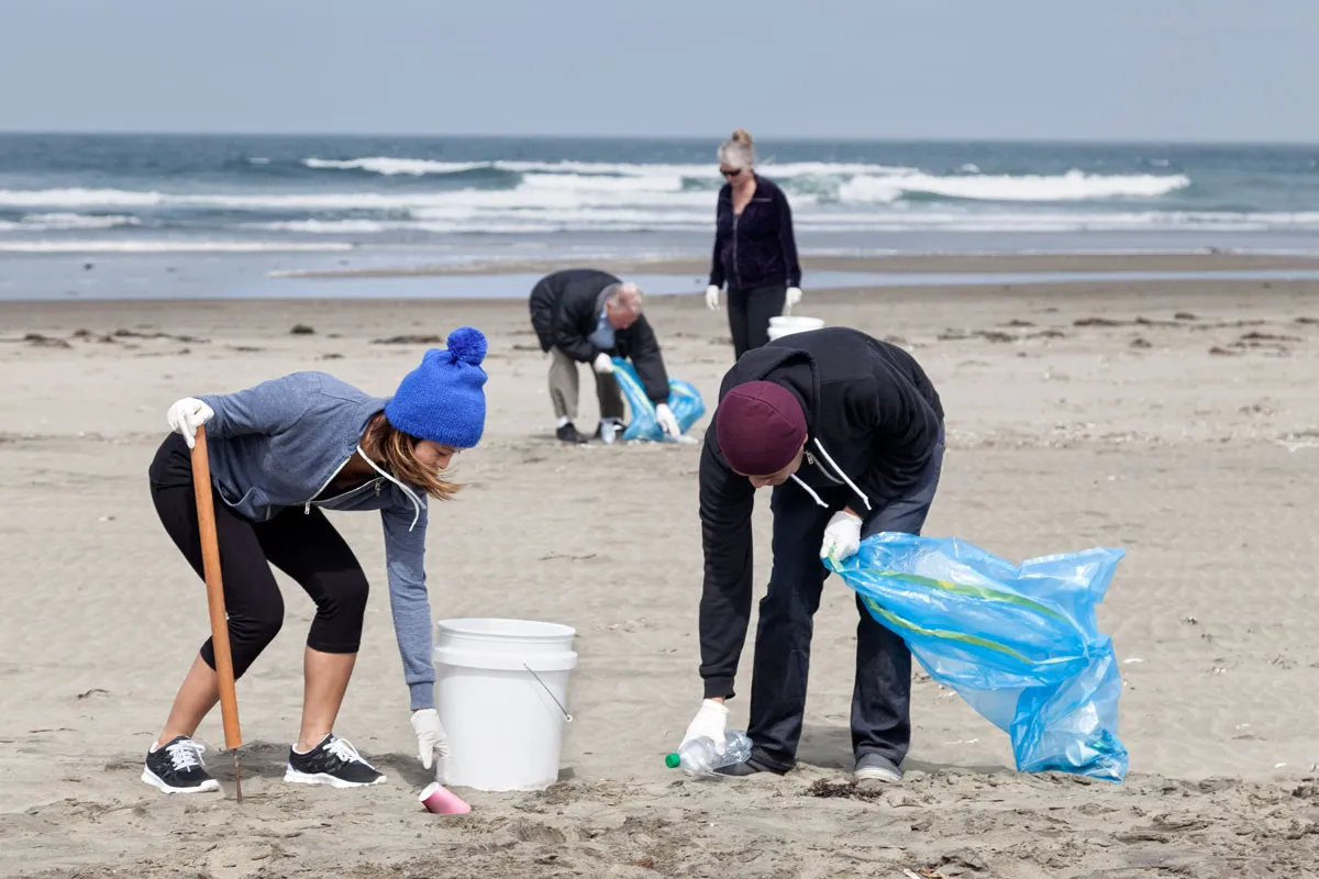 A group of volunteers picking litter from the beach