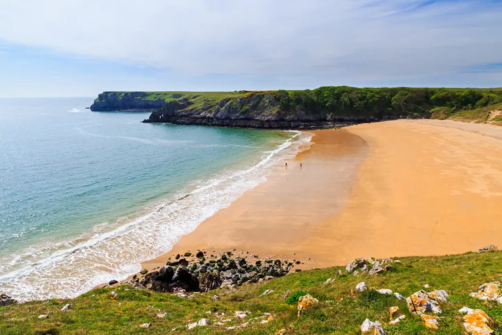 Overlooking the stunning beach at Barafundle Bay on the Pembrokeshire coast of South Wales UK Europe