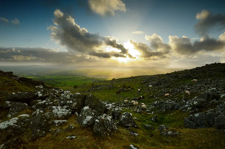 cox tor at sunset