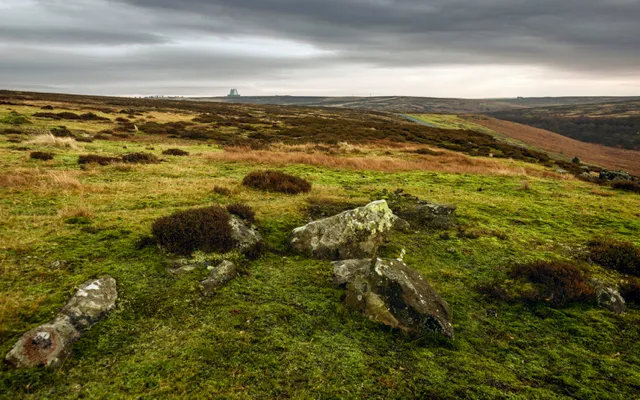 Goathland, Yorkshire, UK. The North York Moors National Park at sunrise in winter with a view of heather, rocks, and moss with RAF Fylingdales on the horizon near Goathland, Yorkshire, UK.