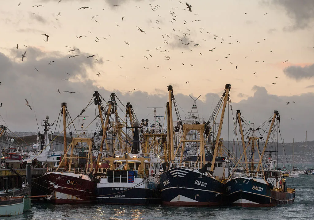BRIXHAM, ENGLAND - MARCH 02: Fishing boats moored in Brixham harbour on March 2, 2016 in Devon, England. The UK's fishing industry is likely to be radically affected by the outcome of the EU referendum that the UK electorate will vote on June 23. Currently under the EU's Common Fisheries Policies (CFP), quotas are imposed on UK fishermen and it also grants equal access to other European fishing fleets to the UK 200-mile exclusive economic zone around the UK coastline whilst preserving a 12-mile zone for exclusive UK boats. However if the UK votes to leave the UK would regain full control over its 200-mile fishing zone, although bilateral agreement with other fishing nations could require granting access on a quid pro quo basis and there is uncertainty about the potential loss of export markets. (Photo by Matt Cardy/Getty Images)