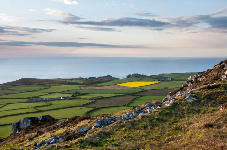 Patchwork landscape of green fields on the coast of west Wales. The lighthouse at Strumble head can be seen below.