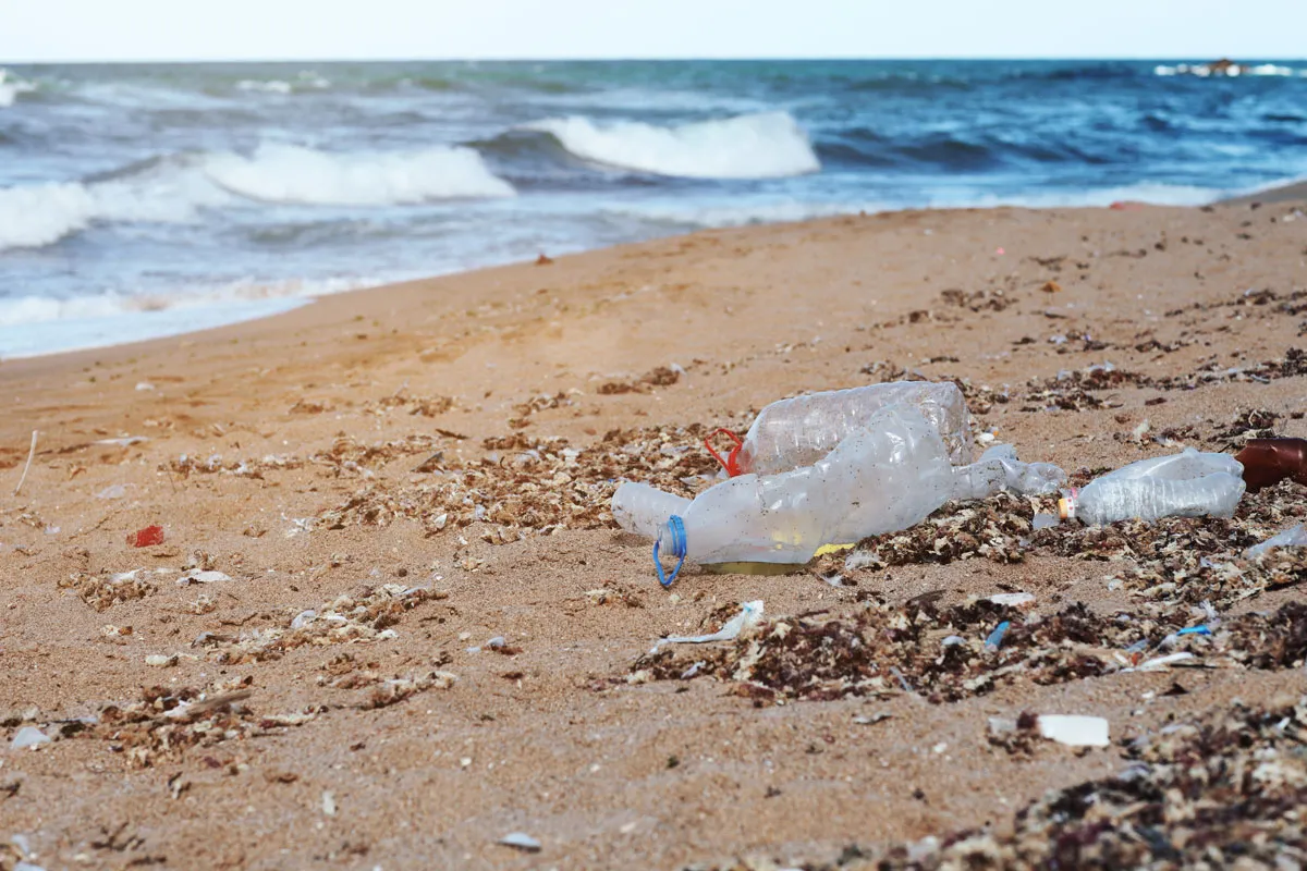 Plastic bottles take around 450 years to break down in the sea