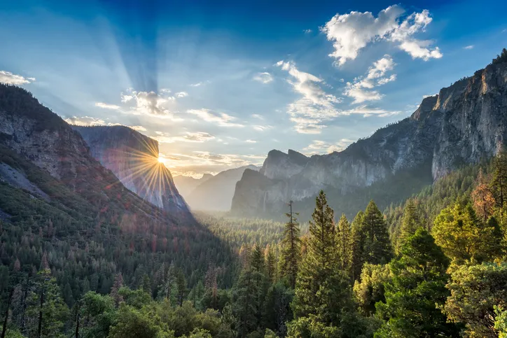 John Muir's legacy Yosemite National Park