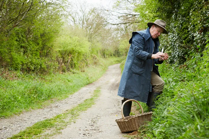 A man in a long coat and boots foraging for edible and tasty plants in the hedgerow.