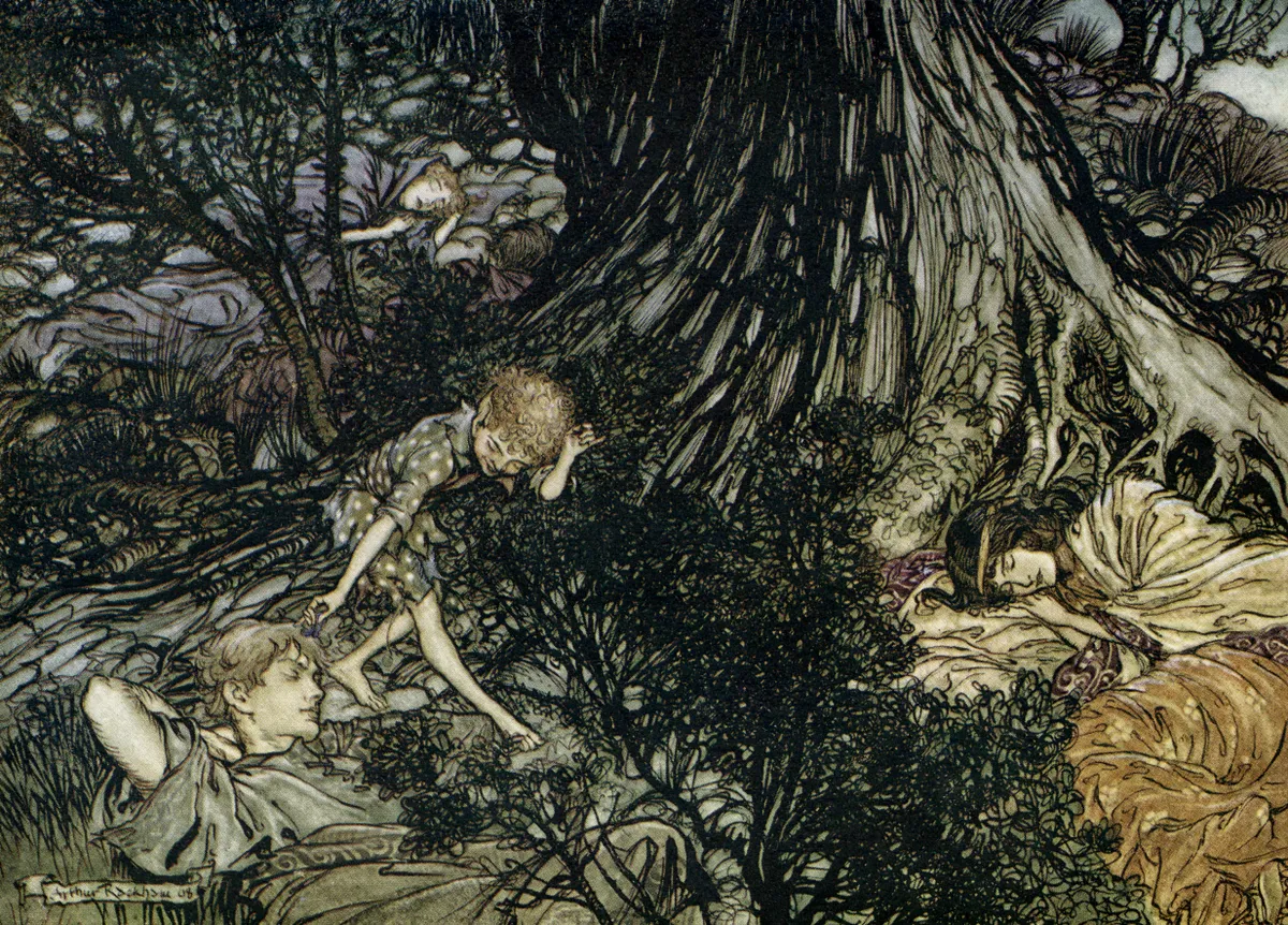 A Midsummer Night's Dream. Illustration by Arthur Rackham (1867 - 1939) to the play by William Shakespeare. Act 3 scene 2, Lysander, Demetrius, Hermia and Helena sleep and Puck squeezes the flower juice on Lysander's eyes: 'On the ground / Sleep sound: / I'll apply / To your eye, / Gentle lover, remedy' English poet and playwright baptised 26 April 1564 Ð 23 April 1616. (Photo by Culture Club/Getty Images)