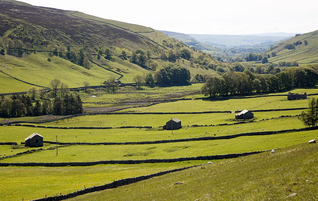 Stone barns and fields in Littondale, Yorkshire Dales national park, England, UK. (Photo by: Geography Photos/UIG via Getty Images)