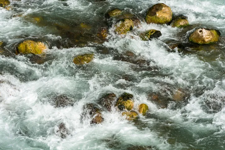 Rapid turbulent stream of water and stones.