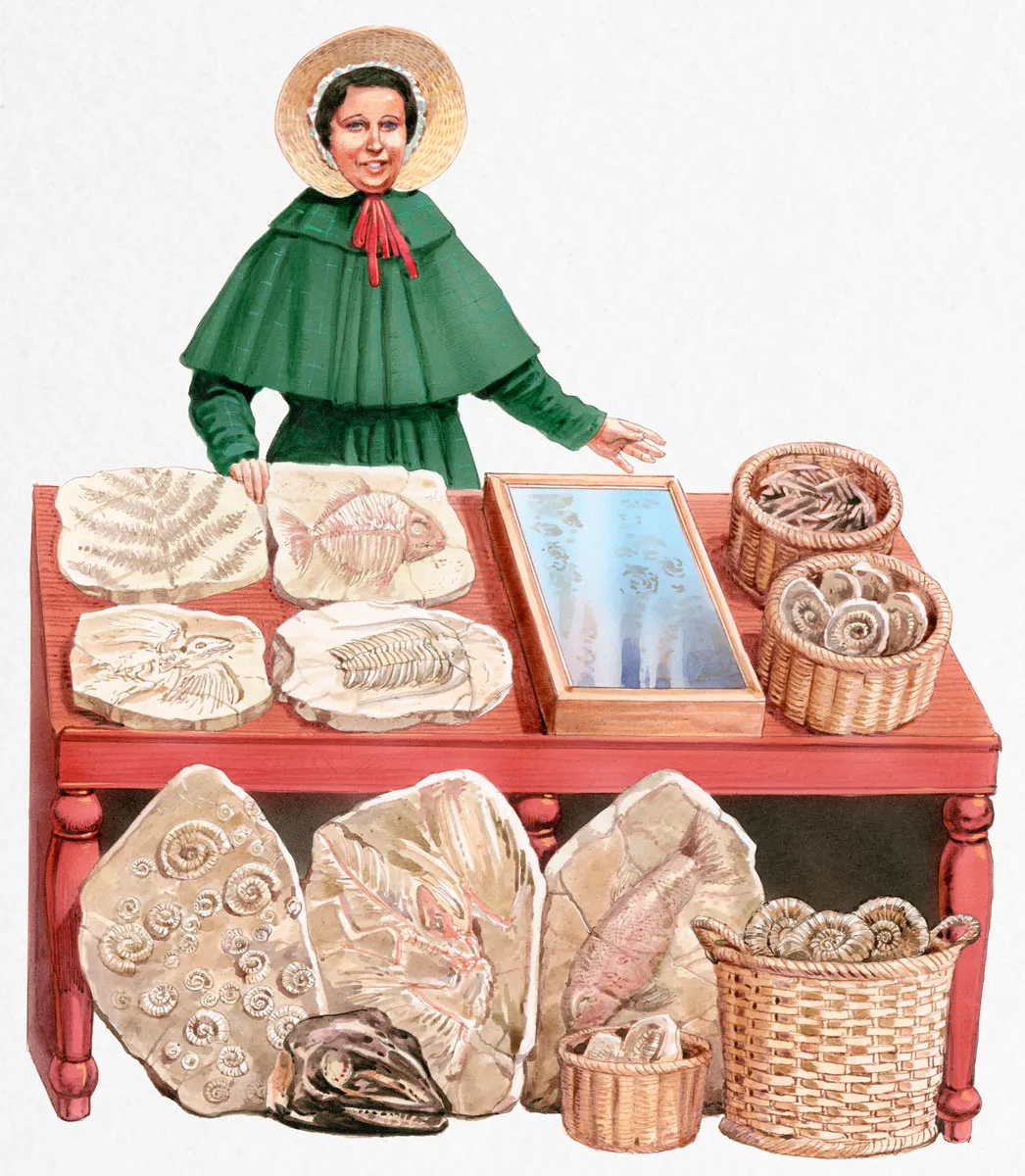 Mary Anning illustration, Getty
