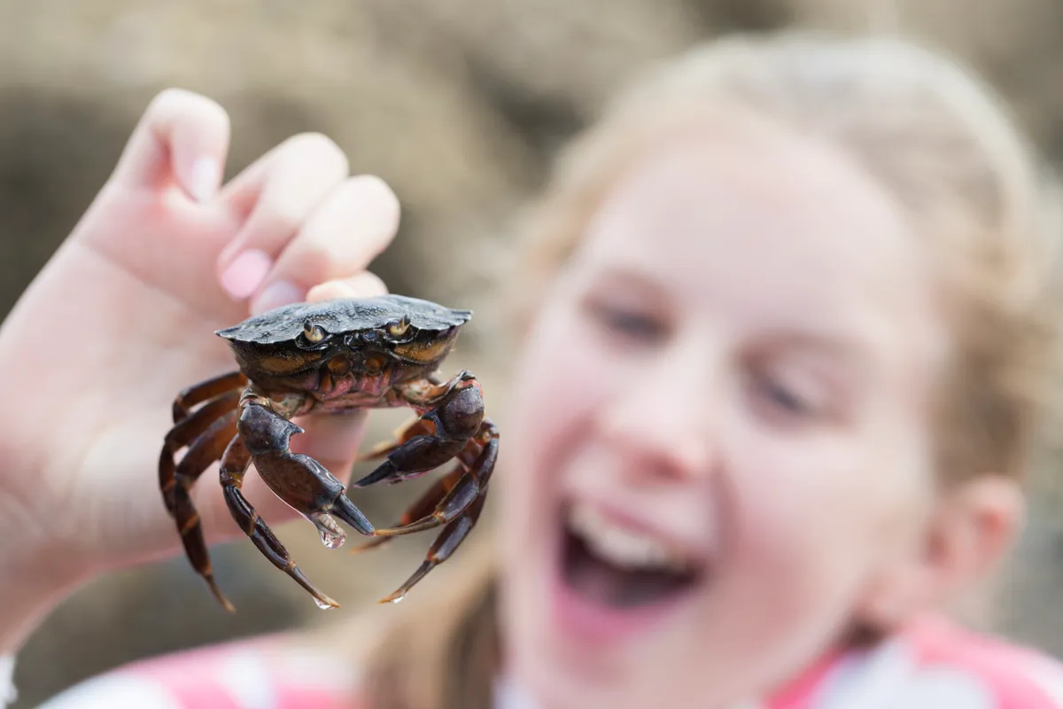 Girl holding a hermit crab