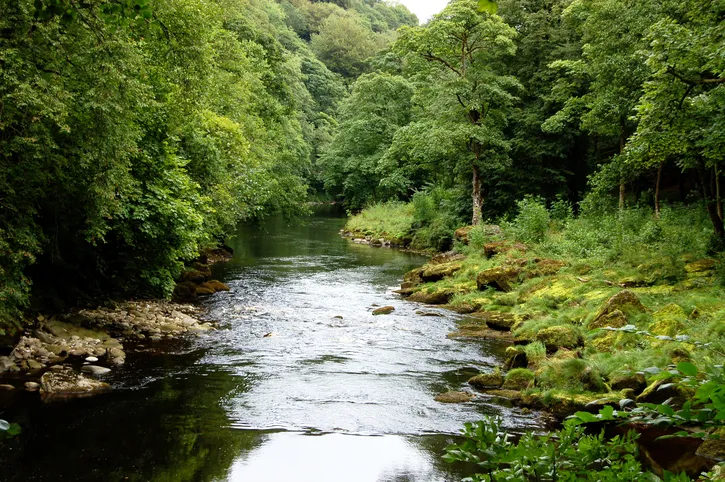A peaceful setting of the River Wharfe near the Strid and Bolton Abbey, Yorkshire