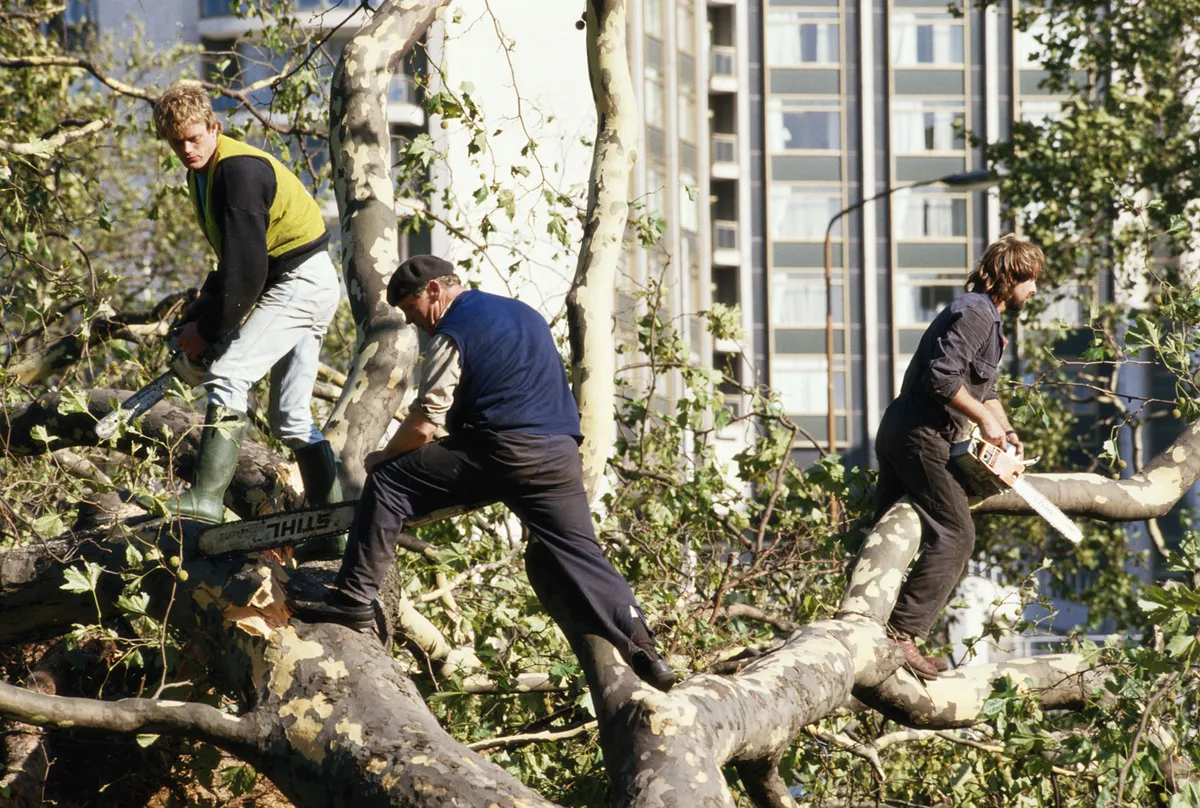 Men sawing a fallen tree after a storm