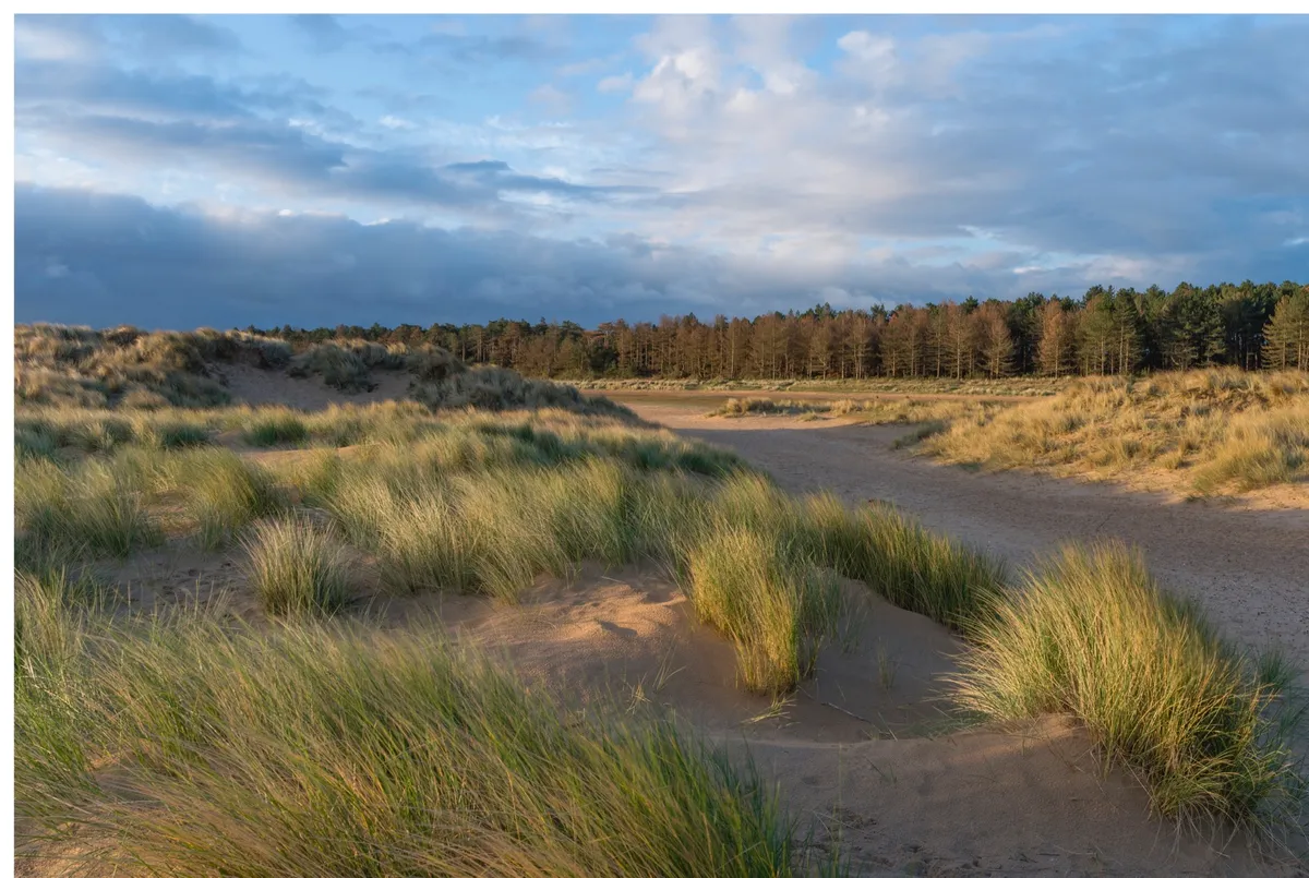 A view of Holkham Bay, Norfolk, England.