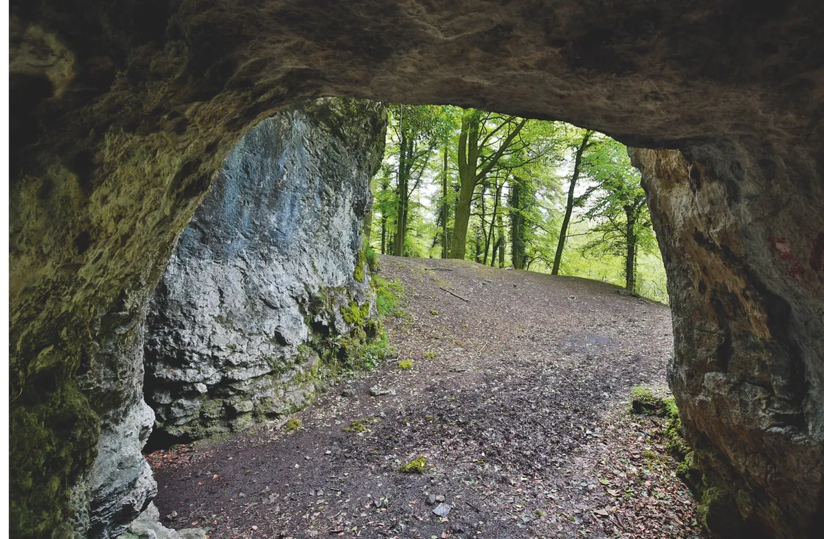 Bear and hyena bones were found in King Arthur’s Cave
