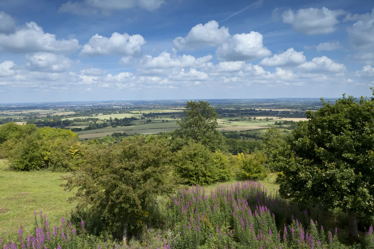 View north from Coombe Hill, Buckinghamshire, in July.
