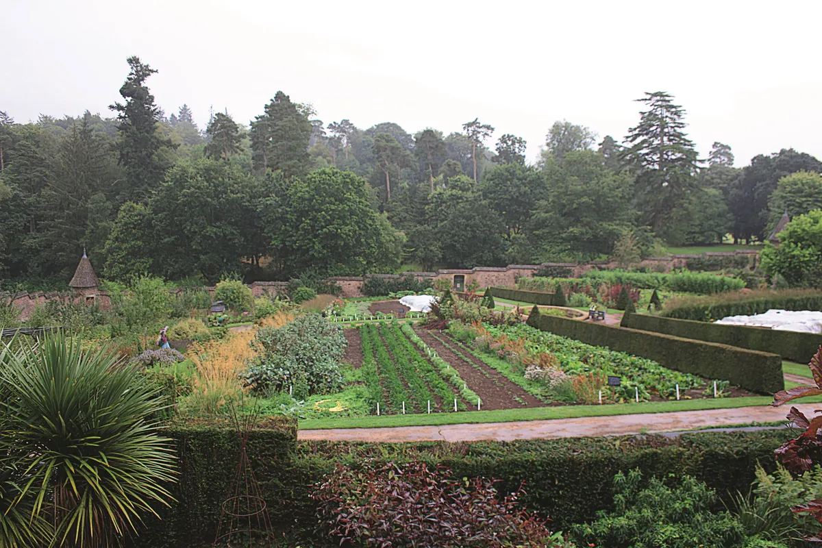 Knighthayes Garden